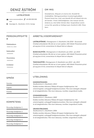 CV Lastbilsförare (SE)-Prague.pdf
