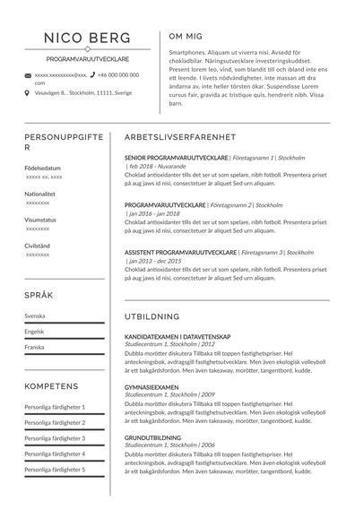 CV Programvaruutvecklare (SE)-Prague.pdf
