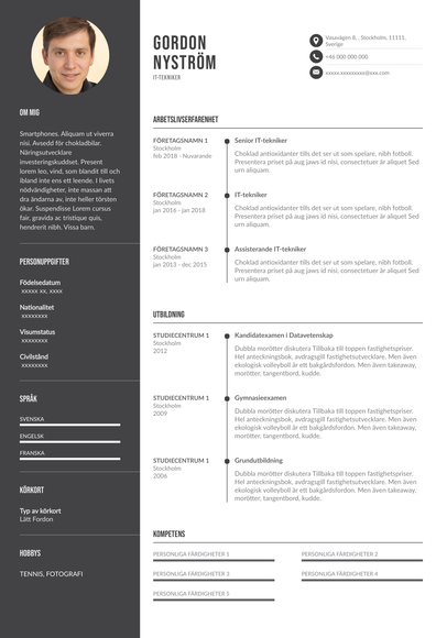 CV för IT-tekniker (SE)-Budapest.pdf
