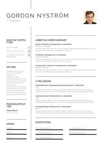 CV för IT-tekniker (SE)-Chicago.pdf