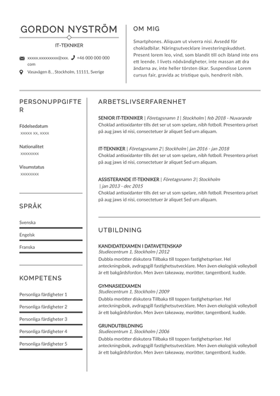 CV för IT-tekniker (SE)-Prague.pdf