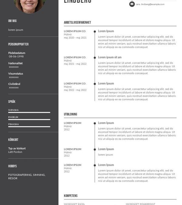 Mjukvaruutvecklare CV