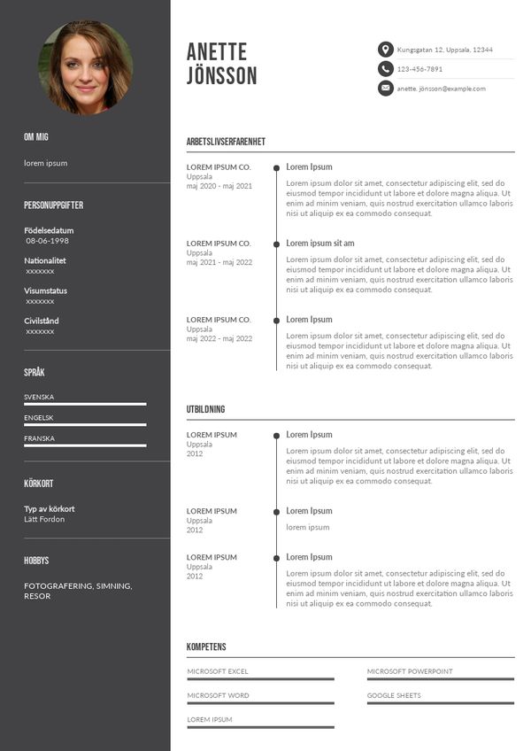 Full Stack-utvecklare CV